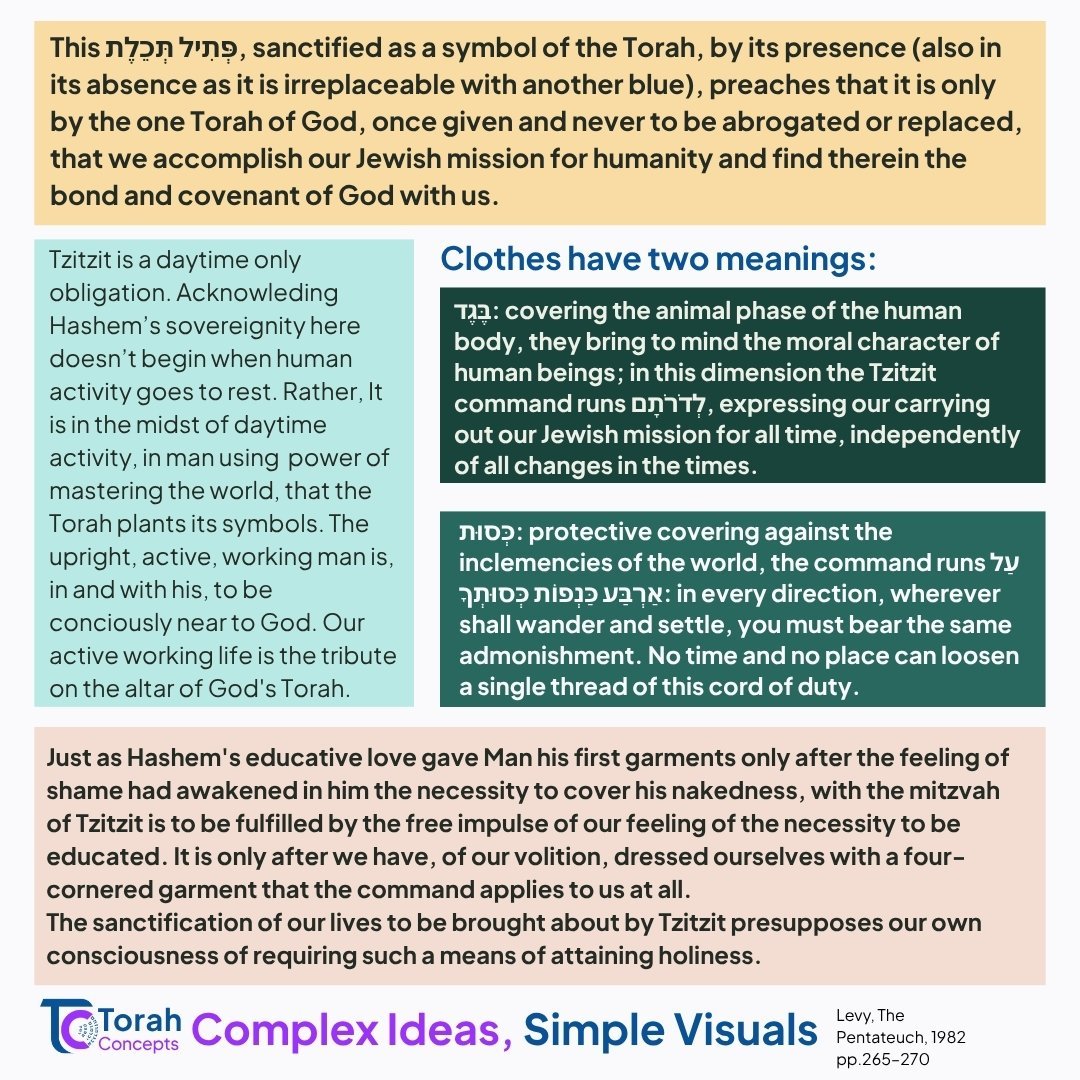 Shelach — page 3 of 4